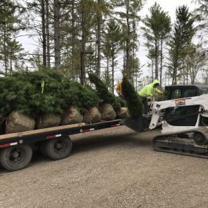 Crew unloads semi of nursery stock for planting on privacy berm at Jellystone Park in Caledonia.