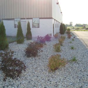 Decorative stone and plantings installed in front of a commercial building in the Caledonia Business Park.