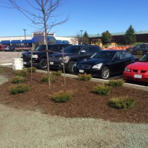 Plantings beds and hydroseeding installed at Goodwill store in Sturtevant.