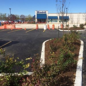 Parking lot landscaping and shredded hardwood mulch installed at Goodwill store in Sturtevant.