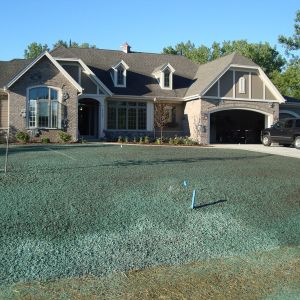 A newly hydroseeded yard. The green hydromulch makes the seed adhere to the soil and keeps the soil moist.