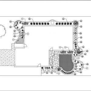 A landscape plan is drawn to display the layout of new plants and patio.