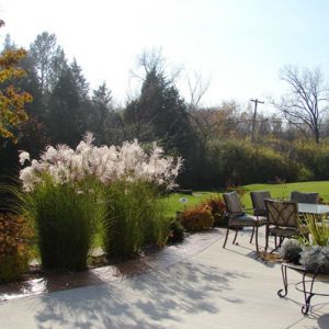 Tall ornamental grasses and shrubs installed to create a decorative border next to a patio