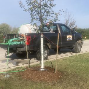 Mobile water transport providing maintenance of new trees installed at Mount Pleasant Village Hall